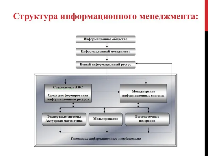 Структура информационного менеджмента: