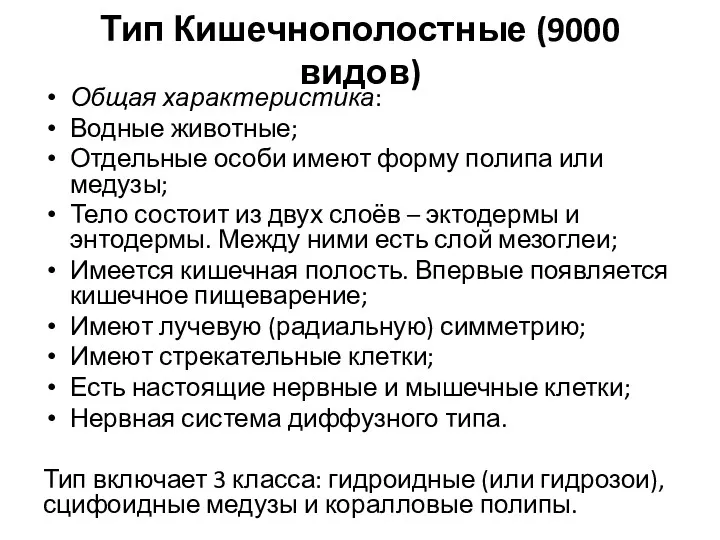 Тип Кишечнополостные (9000 видов) Общая характеристика: Водные животные; Отдельные особи