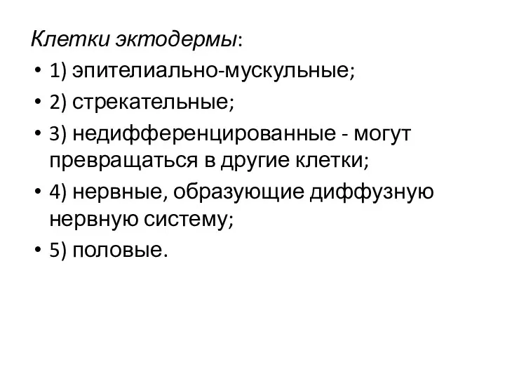 Клетки эктодермы: 1) эпителиально-мускульные; 2) стрекательные; 3) недифференцированные - могут