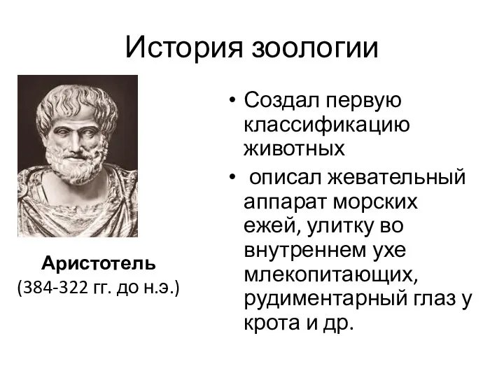 История зоологии Создал первую классификацию животных описал жевательный аппарат морских