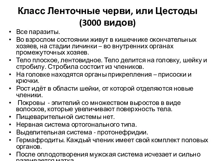 Класс Ленточные черви, или Цестоды (3000 видов) Все паразиты. Во