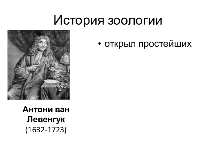 История зоологии открыл простейших Антони ван Левенгук (1632-1723)