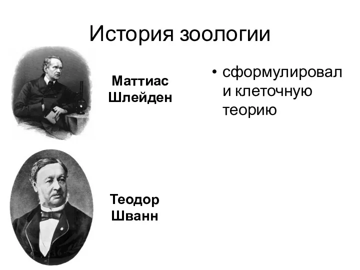 История зоологии сформулировали клеточную теорию Теодор Шванн Маттиас Шлейден