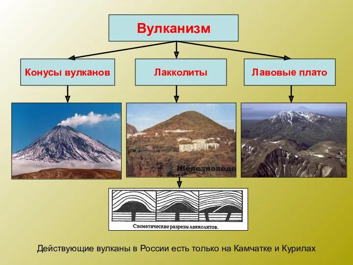 Вулканизм Конусы вулканов Лакколиты Лавовые плато Действующие вулканы в России есть только на Камчатке и Курилах