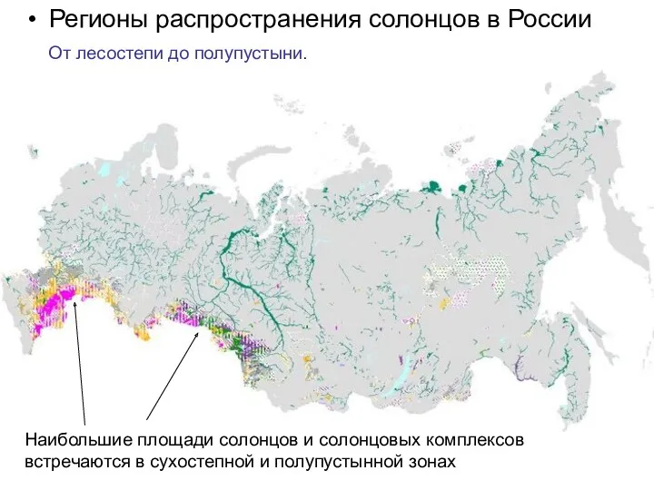 Регионы распространения солонцов в России От лесостепи до полупустыни. Наибольшие