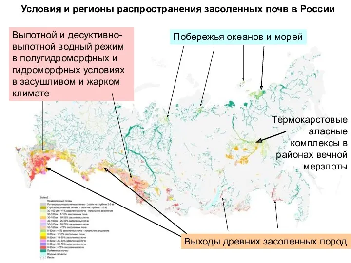 Условия и регионы распространения засоленных почв в России Побережья океанов