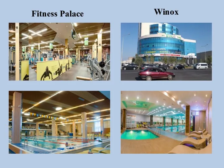 Fitness Palace Winox