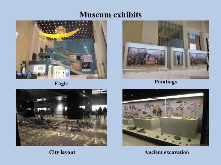 Museum exhibits Eagle Paintings City layout Ancient excavation