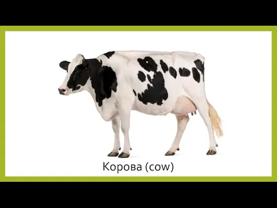 Корова (cow)