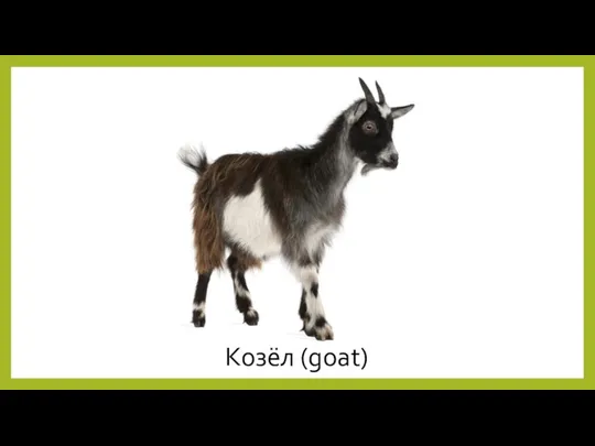 Козёл (goat)