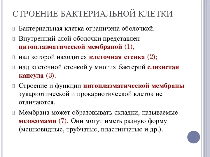 СТРОЕНИЕ БАКТЕРИАЛЬНОЙ КЛЕТКИ Бактериальная клетка ограничена оболочкой. Внутренний слой оболочки