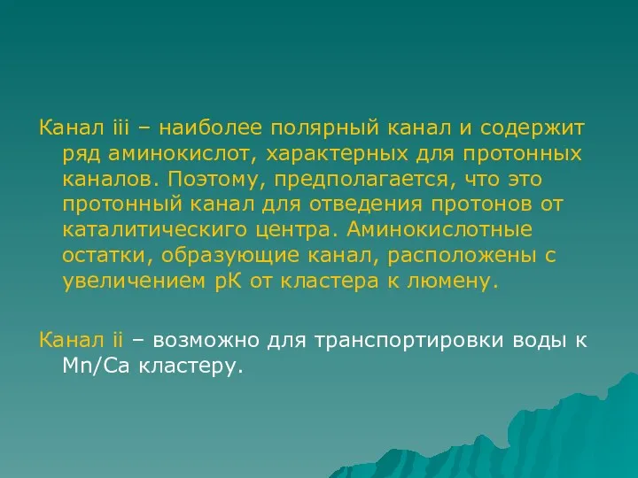 Канал iii – наиболее полярный канал и содержит ряд аминокислот,