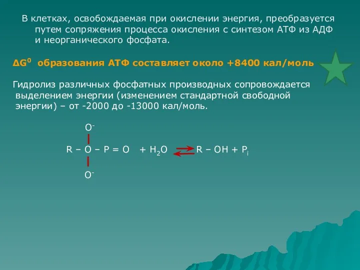 В клетках, освобождаемая при окислении энергия, преобразуется путем сопряжения процесса