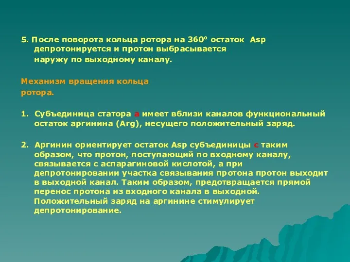 5. После поворота кольца ротора на 360о остаток Asp депротонируется