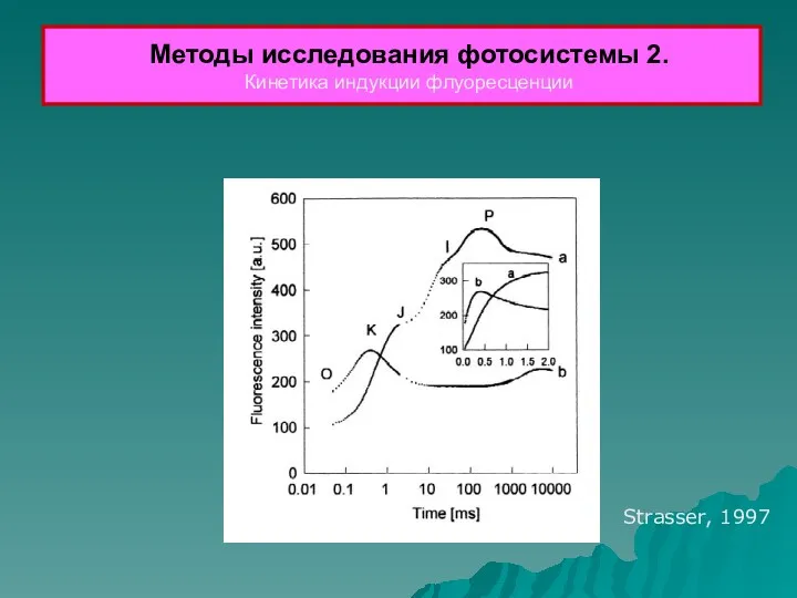 Методы исследования фотосистемы 2. Кинетика индукции флуоресценции Strasser, 1997