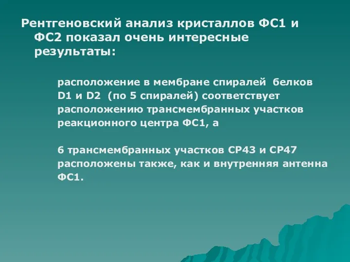 Рентгеновский анализ кристаллов ФС1 и ФС2 показал очень интересные результаты: