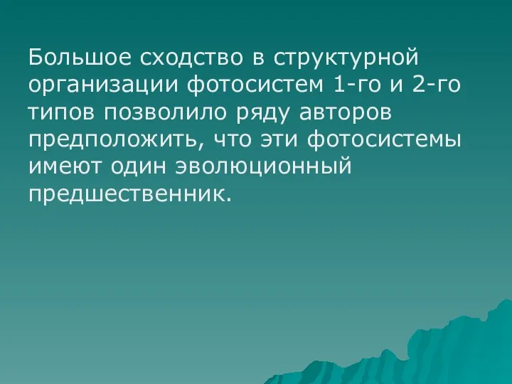 Большое сходство в структурной организации фотосистем 1-го и 2-го типов