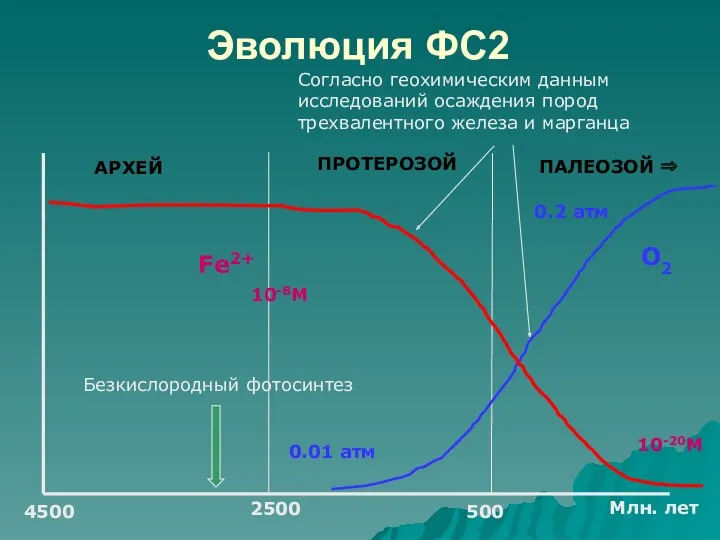 Эволюция ФС2 4500 500 АРХЕЙ ПРОТЕРОЗОЙ ПАЛЕОЗОЙ ⇒ 2500 Млн.