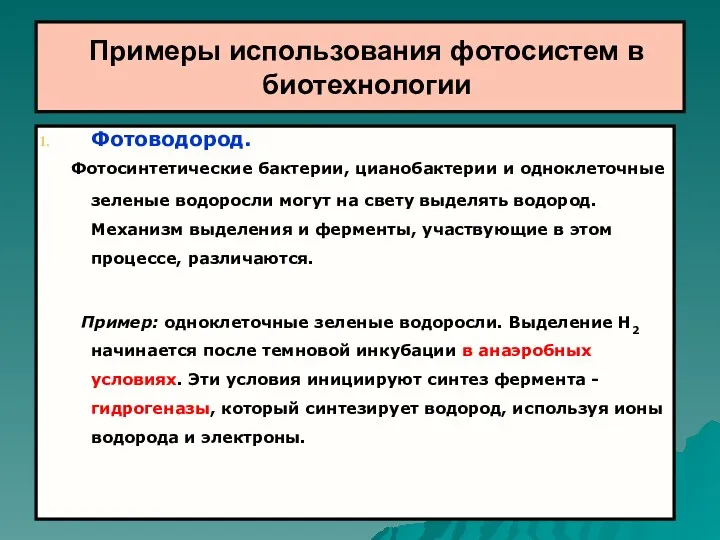 Примеры использования фотосистем в биотехнологии Фотоводород. Фотосинтетические бактерии, цианобактерии и