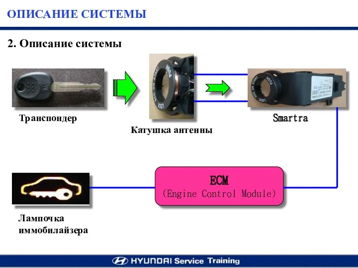 ECM (Engine Control Module) Транспондер Катушка антенны Smartra Лампочка иммобилайзера 2. Описание системы ОПИСАНИЕ СИСТЕМЫ