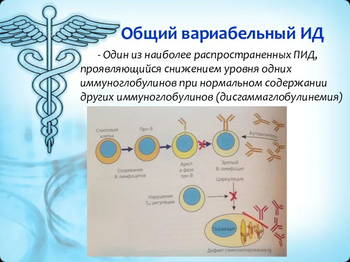 Общий вариабельный ИД - Один из наиболее распространенных ПИД, проявляющийся