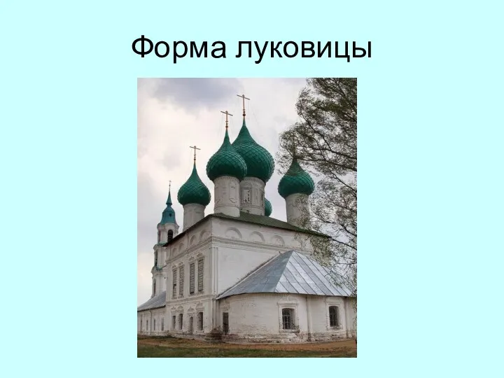 Форма луковицы