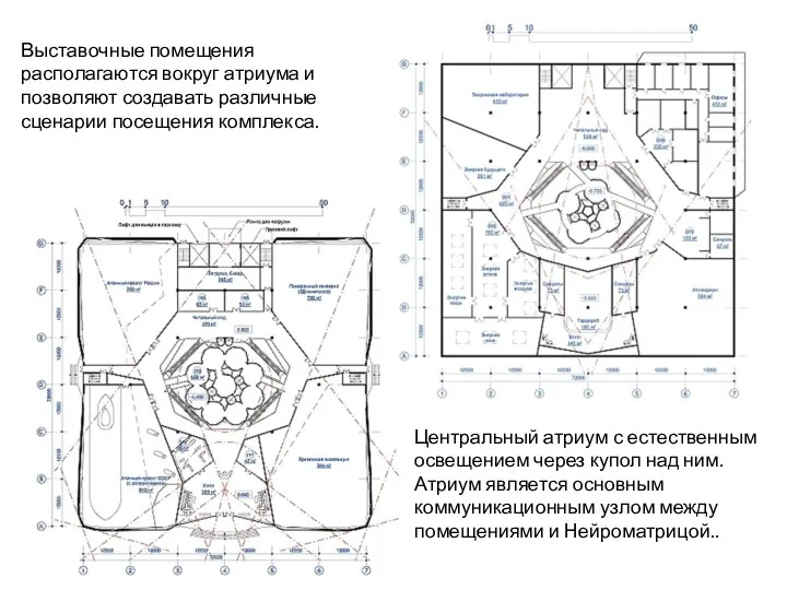 Выставочные помещения располагаются вокруг атриума и позволяют создавать различные сценарии посещения комплекса. Центральный