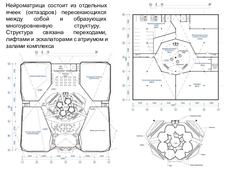 Нейроматрица состоит из отдельных ячеек (октаэдров) пересекающихся между собой и