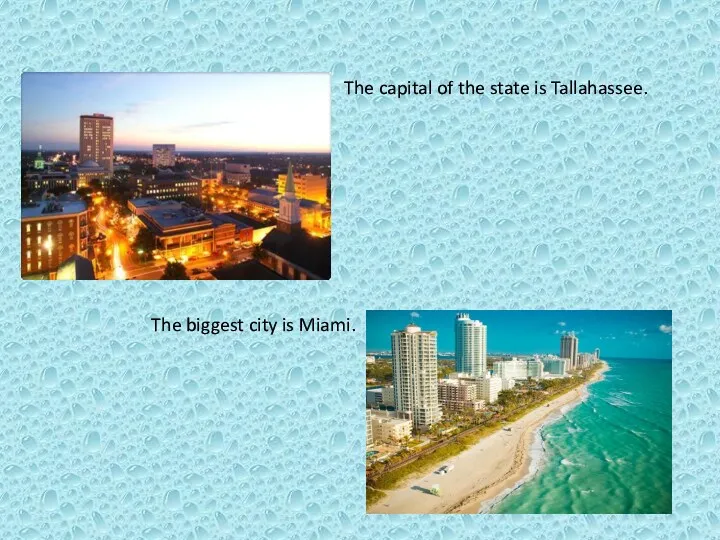 The capital of the state is Tallahassee. The biggest city is Miami.