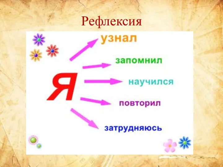 Рефлексия