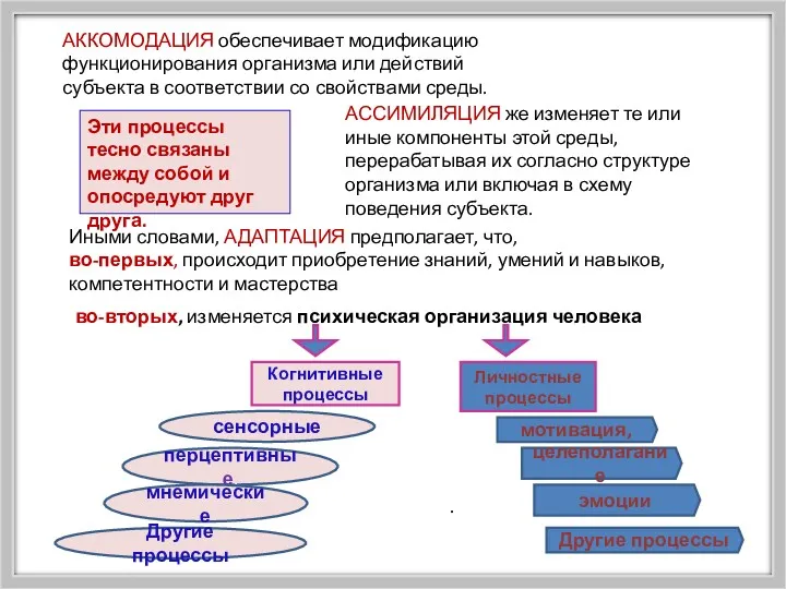 Иными словами, АДАПТАЦИЯ предполагает, что, во-первых, происходит приобретение знаний, умений и навыков, компетентности