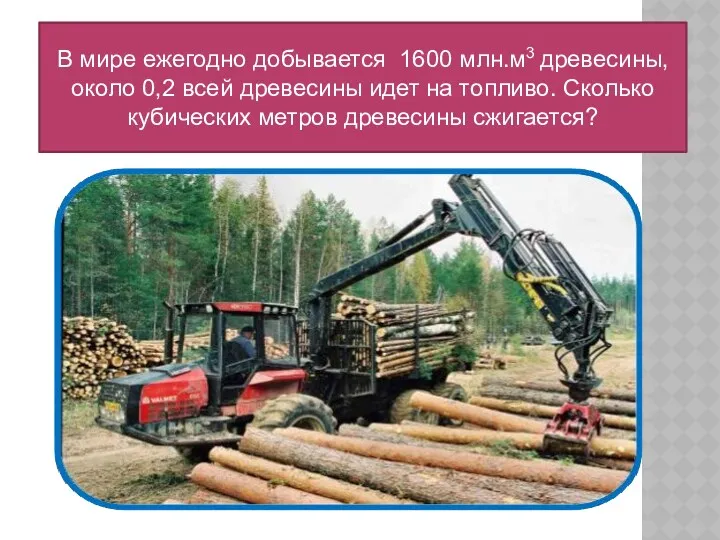 В мире ежегодно добывается 1600 млн.м3 древесины, около 0,2 всей древесины идет на