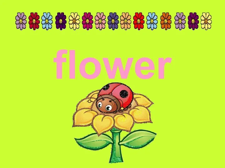 flower