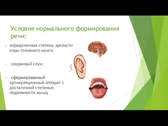 Условия нормального формирования речи: определенная степень зрелости коры головного мозга;