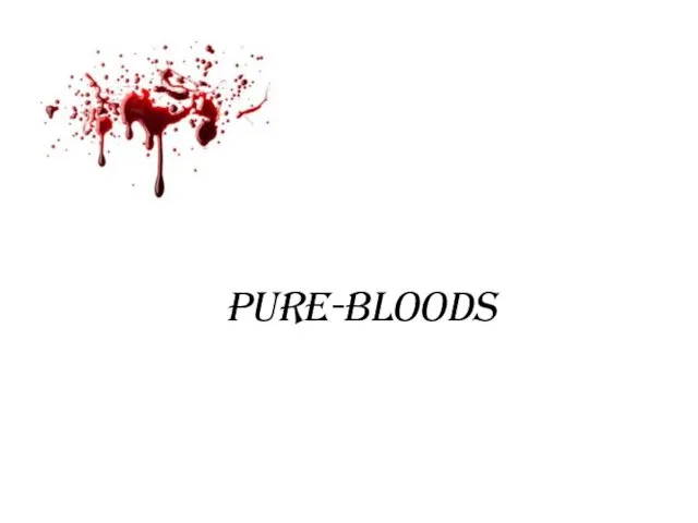 pure-bloods