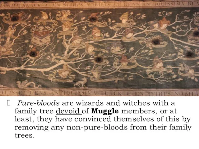 Pure-bloods are wizards and witches with a family tree devoid of Muggle members,