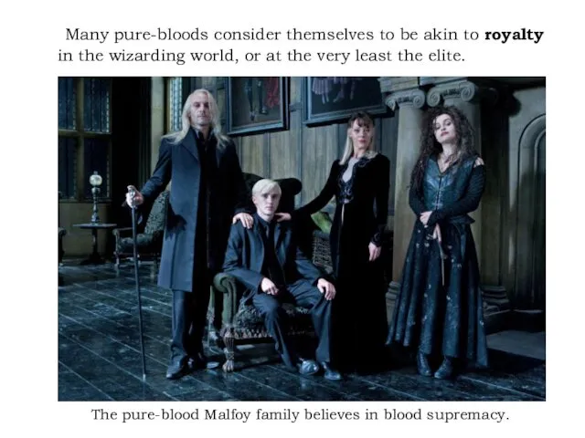 Many pure-bloods consider themselves to be akin to royalty in the wizarding world,