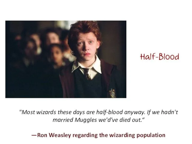 "Most wizards these days are half-blood anyway. If we hadn't married Muggles we'd've