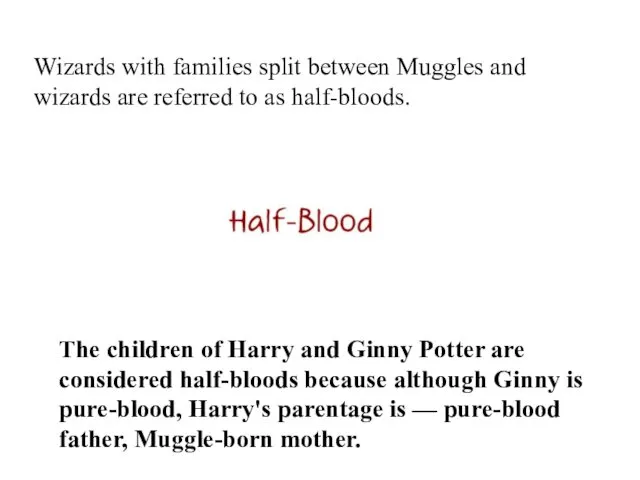 Wizards with families split between Muggles and wizards are referred to as half-bloods.