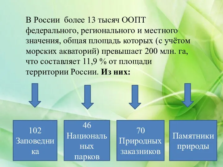 В России более 13 тысяч ООПТ федерального, регионального и местного