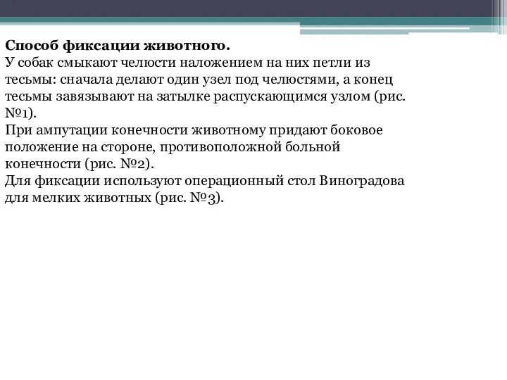 Способ фиксации животного. У собак смыкают челюсти наложением на них