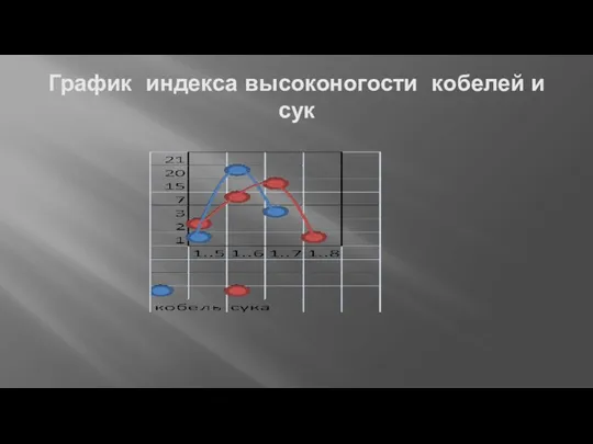 График индекса высоконогости кобелей и сук