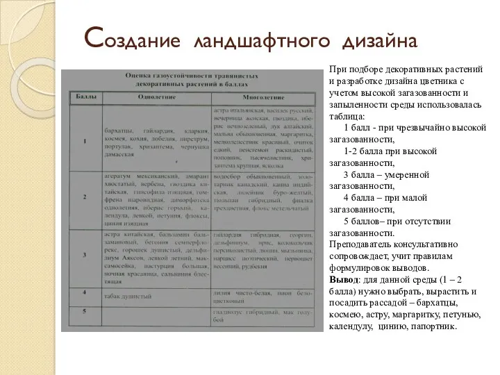 Создание ландшафтного дизайна При подборе декоративных растений и разработке дизайна