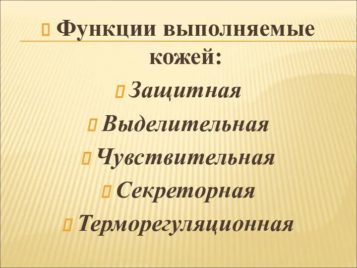 Функции выполняемые кожей: Защитная Выделительная Чувствительная Секреторная Терморегуляционная