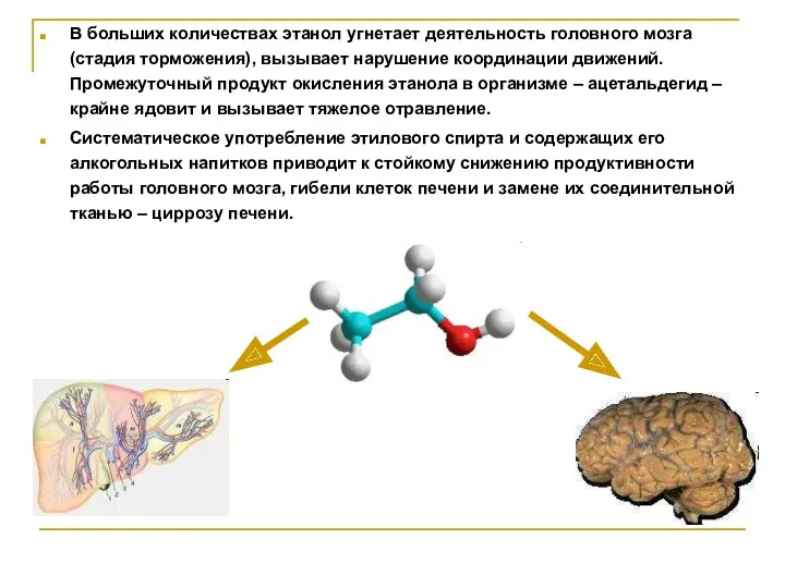 В больших количествах этанол угнетает деятельность головного мозга (стадия торможения), вызывает нарушение координации