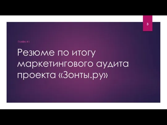 Резюме по итогу маркетингового аудита проекта «Зонты.ру» ГЛАВА #1 3