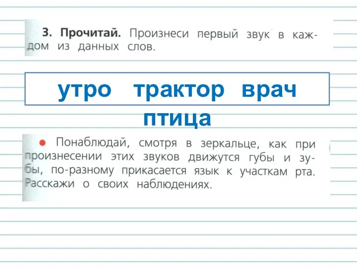 утро трактор врач птица