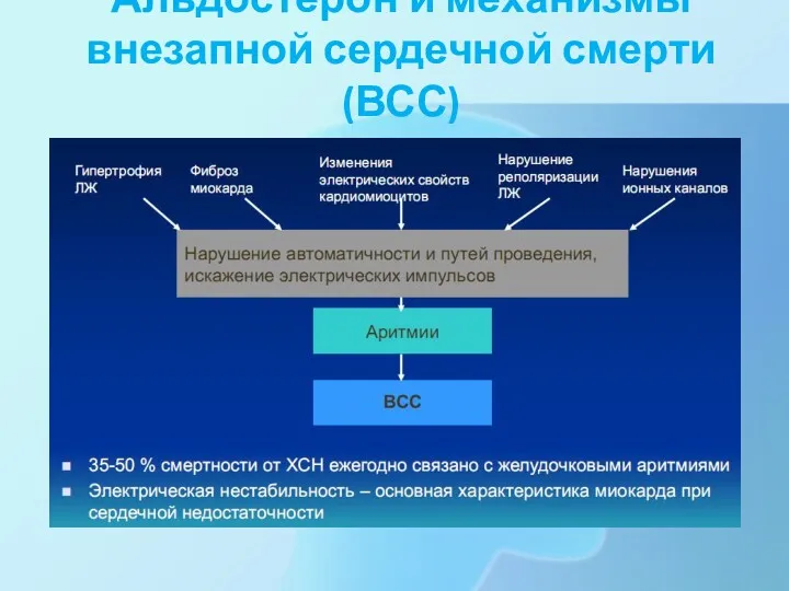 Альдостерон и механизмы внезапной сердечной смерти (ВСС)