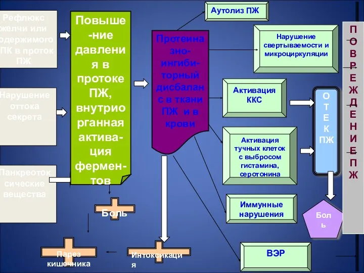 Рефлюкс желчи или содержимого ДПК в проток ПЖ Нарушение оттока