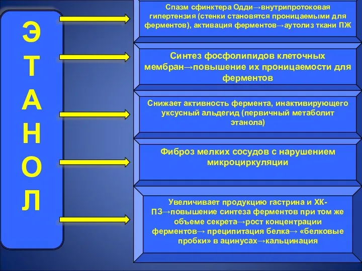 Э Т А Н О Л Спазм сфинктера Одди→внутрипротоковая гипертензия